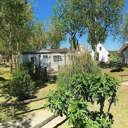 Mobil-home Avec Terrasse - 8 Pers. - Api-1-52-2177